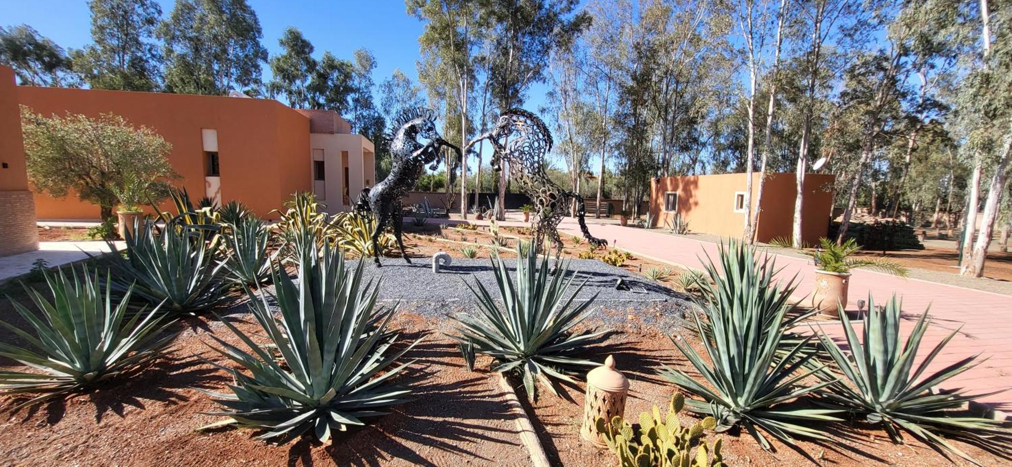 Villa Le Jardin De Jeanne Marrakesch Exterior foto